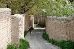 نقشه تازه زاکانی برای تخریب باغات کن

