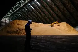 کاهش قیمت شکر خام به پایین‌ترین سطح 18 ماه گذشته!