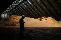 کاهش قیمت شکر خام به پایین‌ترین سطح 18 ماه گذشته!