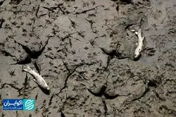 ایرانِ تشنه؛ روایت گاردین از بحران آب