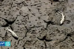 ایرانِ تشنه؛ روایت گاردین از بحران آب
