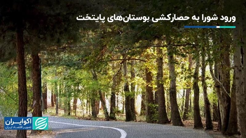 ورود شورا به حصارکشی بوستان‌های پایتخت