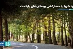 ورود شورا به حصارکشی بوستان‌های پایتخت