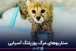 شکست «پیروز»