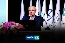 نیلی: تورم بالا و کاهش سرمایه‌گذاری، موتور رشد را از کار انداخته است