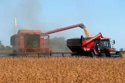 رکوردشکنی قیمتی سویا با ممنوعیت صادرات روغن پالم تقویت شد