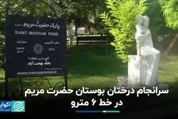 سرانجامِ درختان بوستان حضرت مریم در خط 6 مترو