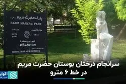 سرانجامِ درختان بوستان حضرت مریم در خط 6 مترو