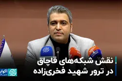 پشت پرده ترور شهید فخری زاده؛ نقش شبکه‌های قاچاق چه بود؟