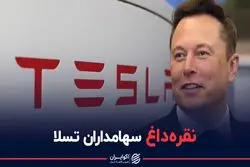 کاهش دوباره ارزش سهام تسلا /نقره داغ سهامداران تسلا!