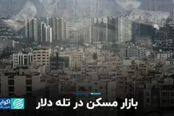 بازار مسکن در تله دلار