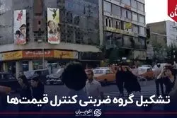 سفر در زمان؛ تشکیل گروه ضربتی کنترل قیمت‌ها