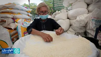 تحلیل دلاری برنج در بازار