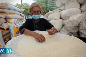 تحلیل دلاری برنج در بازار