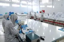 شرکت‌های دانش‌بنیان به هند فرستاده می‌شوند / وعده اشتغالزایی 11 هزارنفری با حمایت از دانش‌بنیان‌ها