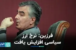  فرزین: نرخ ارز سیاسی افزایش یافت