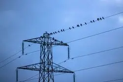 نسخه دولت برای برق جواب داد
