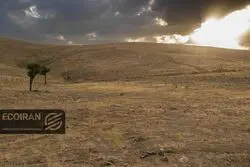 تابستان ترسناک در راه است؟ 