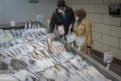 سه کالای جدیدی که به طرح کالابرگ اضافه شد/ مرحله پنجم کالابرگ منتظر این کالاها باشید