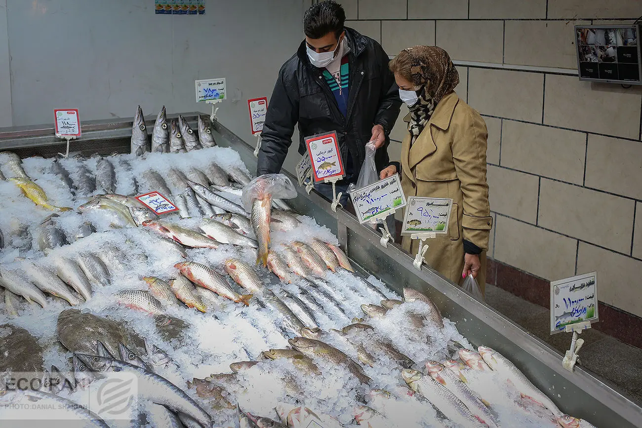 ماهی در میادین میوه تره بار تهران چند؟ / ماهی قزل آلا  212 هزار تومان