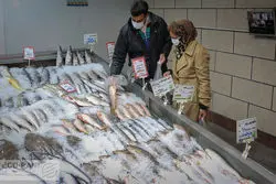 ماهی در میادین میوه تره بار تهران چند؟ / ماهی قزل آلا  212 هزار تومان