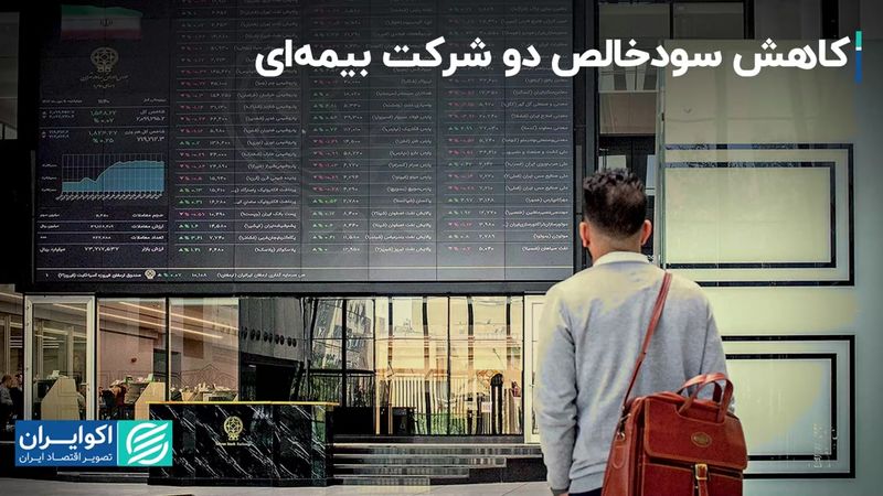 کاهش سودخالص دو شرکت بیمه‌ای