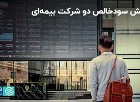 کاهش سودخالص دو شرکت بیمه‌ای