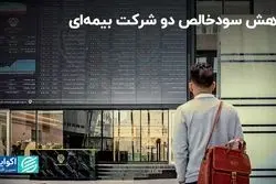 کاهش سودخالص دو شرکت بیمه‌ای