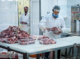 پایان رانت واردات گوشت / گوشت قرمز گران می‌شود؟