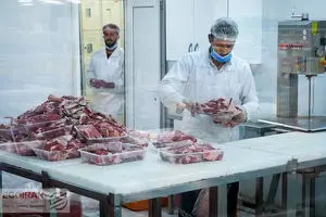 رکوردزنی سهم خارجی‌ها از بازار گوشت داخل