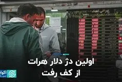 اولین دژ دلار هرات از کف رفت