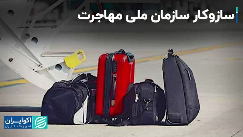 سازمان ملی مهاجرت به نفع مهاجران است یا ضررشان؟