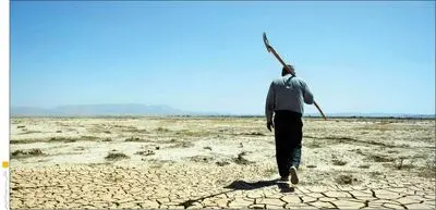  روایت یک افت آرام اما مداوم در کشاورزی ایران