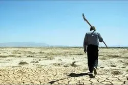  روایت یک افت آرام اما مداوم در کشاورزی ایران