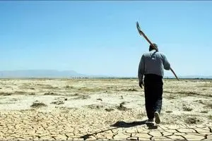  روایت یک افت آرام اما مداوم در کشاورزی ایران