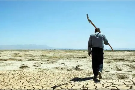  روایت یک افت آرام اما مداوم در کشاورزی ایران