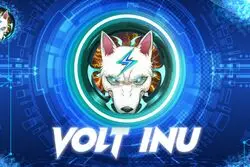 همکاری میم‌کوین Volt Inu و شبکه پرداخت ویزا کارت