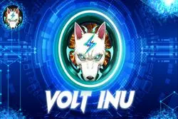 همکاری میم‌کوین Volt Inu و شبکه پرداخت ویزا کارت