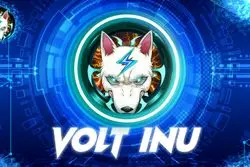 همکاری میم‌کوین Volt Inu و شبکه پرداخت ویزا کارت