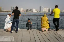 فاطمه، زهرا و مریم، پرتکرارترین نام‌های زن در ایران 