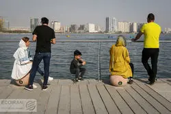 فاطمه، زهرا و مریم، پرتکرارترین نام‌های زن در ایران 