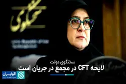 مهاجرانی: لایحه CFT در مجمع در جریان است