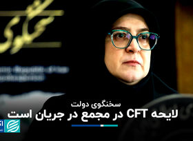 مهاجرانی: لایحه CFT در مجمع در جریان است