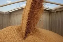 پشت پرده واردات ۱۴ میلیارد دلاری کالا در بهار + نمودار