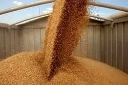 پشت پرده واردات ۱۴ میلیارد دلاری کالا در بهار + نمودار