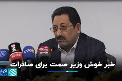 خبر خوش وزیر صمت برای صادرات