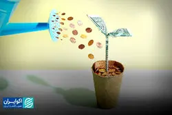 درس‌های مهم هاروارد بیزینس ریویو برای استارت‌آپ‌ها