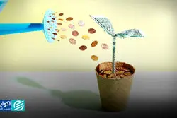 درس‌های مهم هاروارد بیزینس ریویو برای استارت‌آپ‌ها