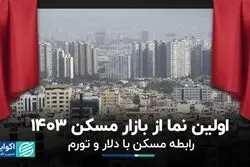 رابطه مسکن با دلار و تورم چیست؟