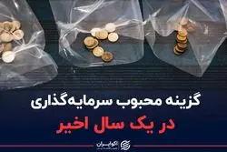 گزینه محبوب سرمایه گذاری در یک سال اخیر